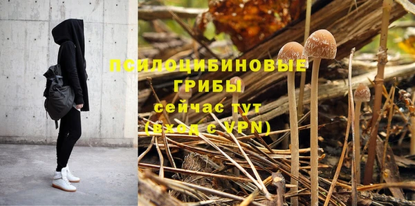 прущая мука Пересвет