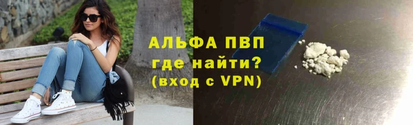 прущая мука Пересвет