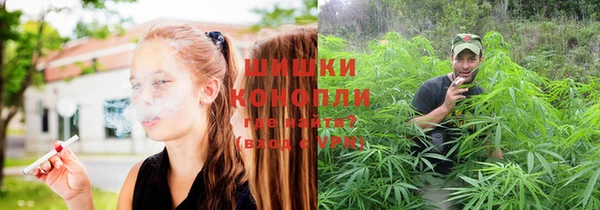 прущая мука Пересвет